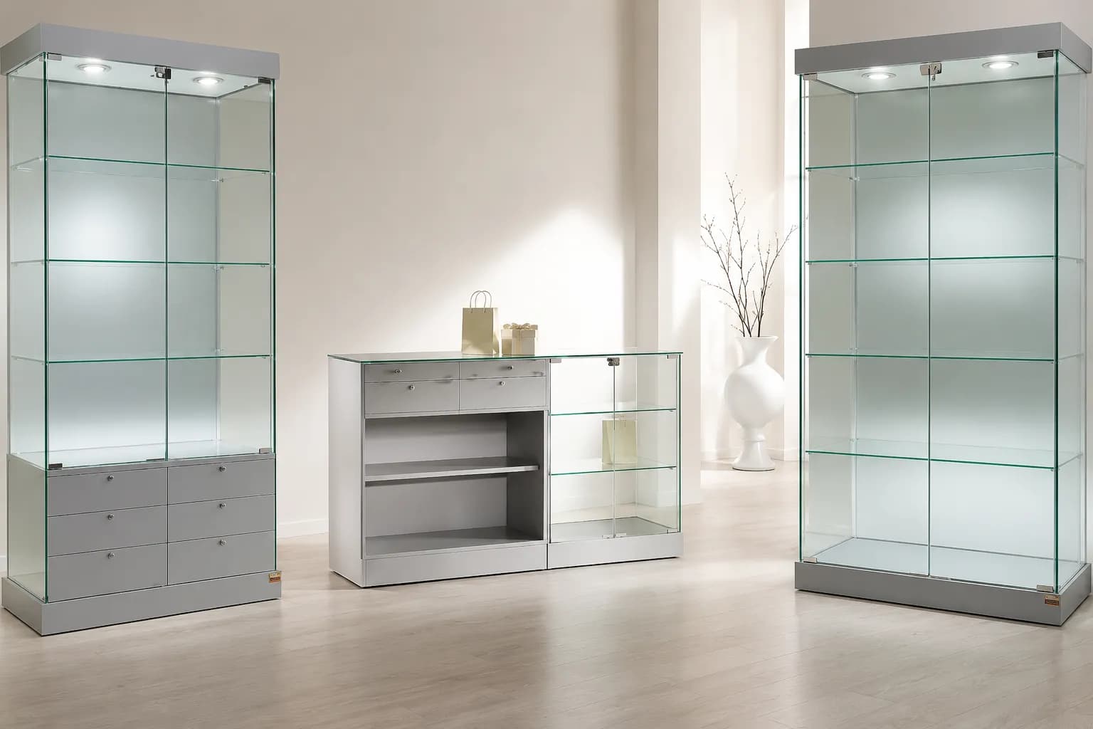 Modern glass trophy cabinet
