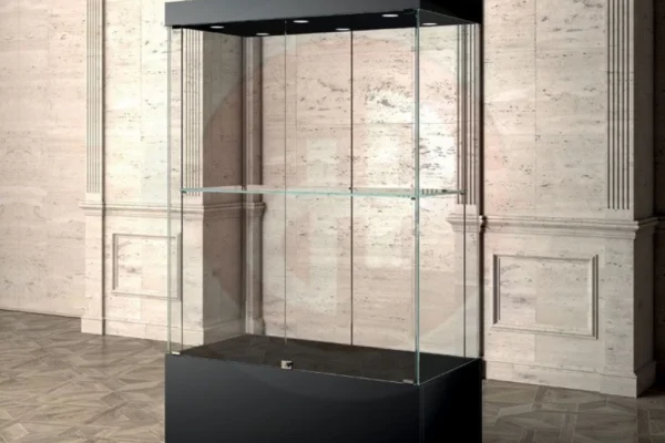 museum display case